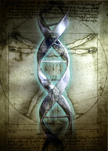dna2263604